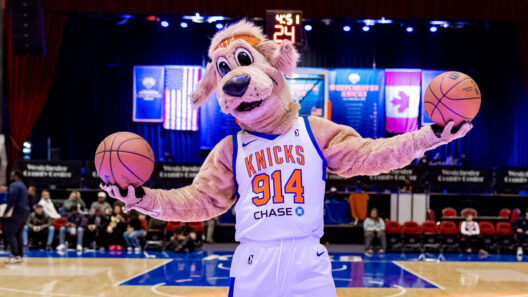 Westchester Knicks